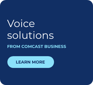 Voice Solutions ad